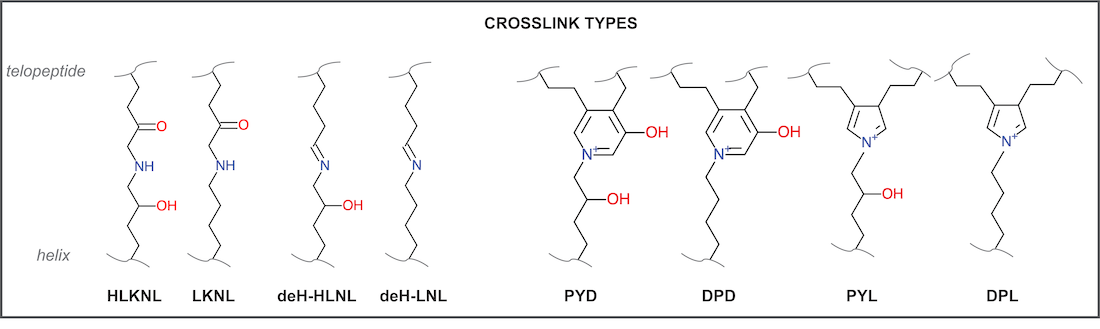 crosslinks_types